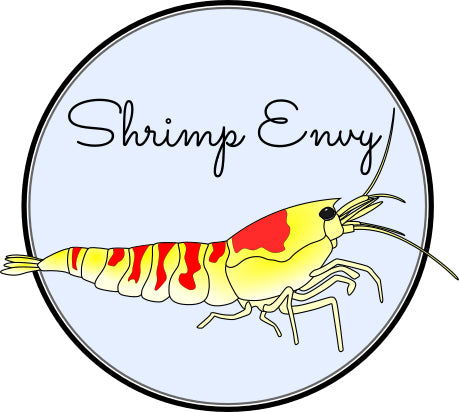 Shrimp Envy