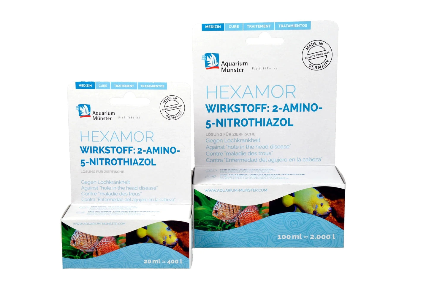 Aquarium Münster Hexamor 4005258004455 Super Cichlids