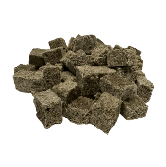 Axototl Munchie Cubes — Blackworm Treats for Axolotls 15 Grams (.53 oz) 199284136649 Super Cichlids