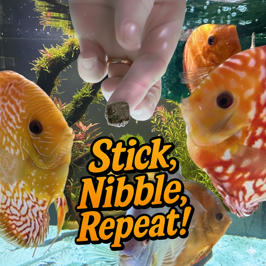 Freeze-Dried Blackworms with Vita-C (All Natural, High Protein Fish Food) 25 Grams 199284254237 Super Cichlids