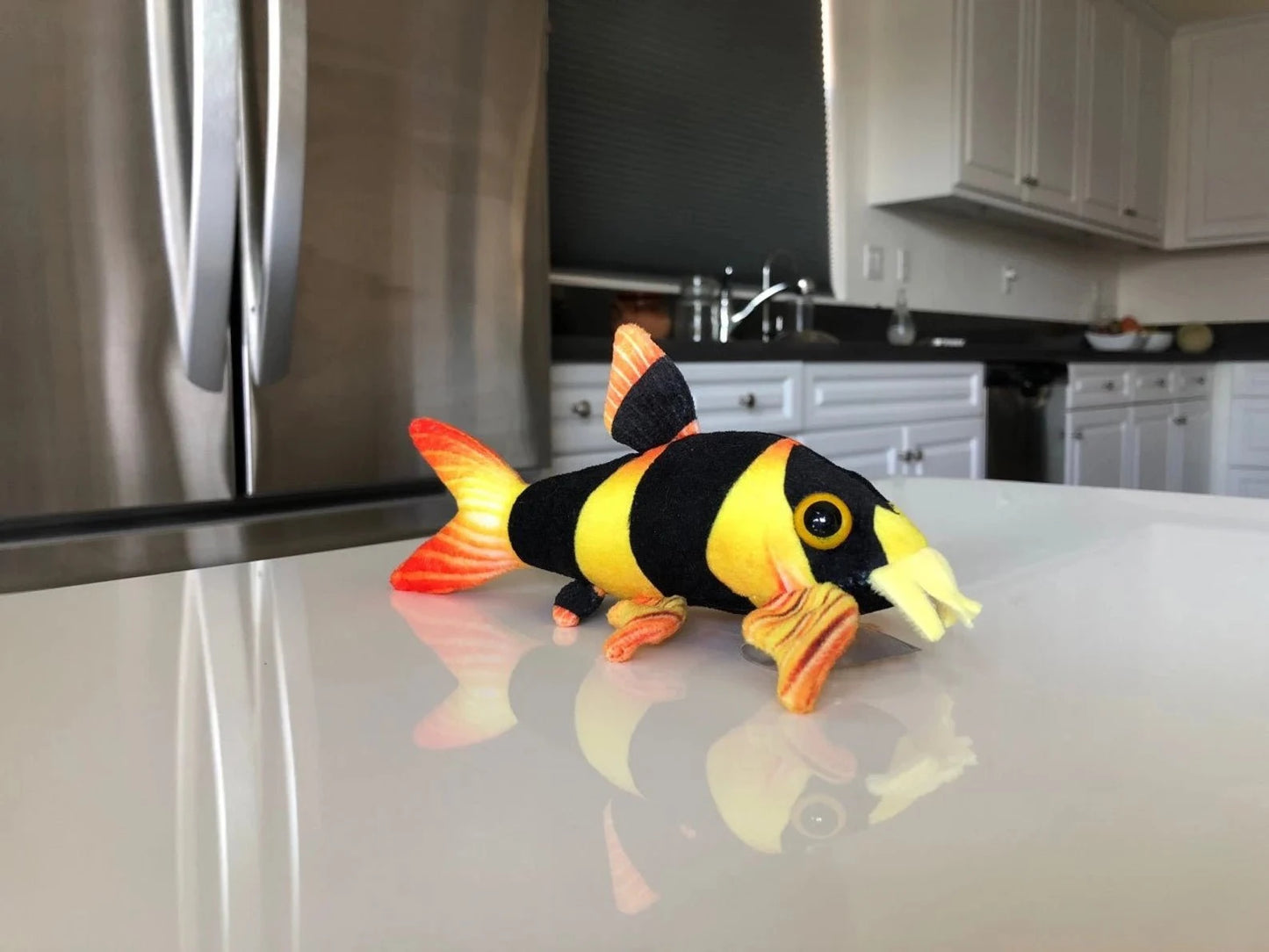 GreenPleco Clown Loach Plushie Fish Super Cichlids