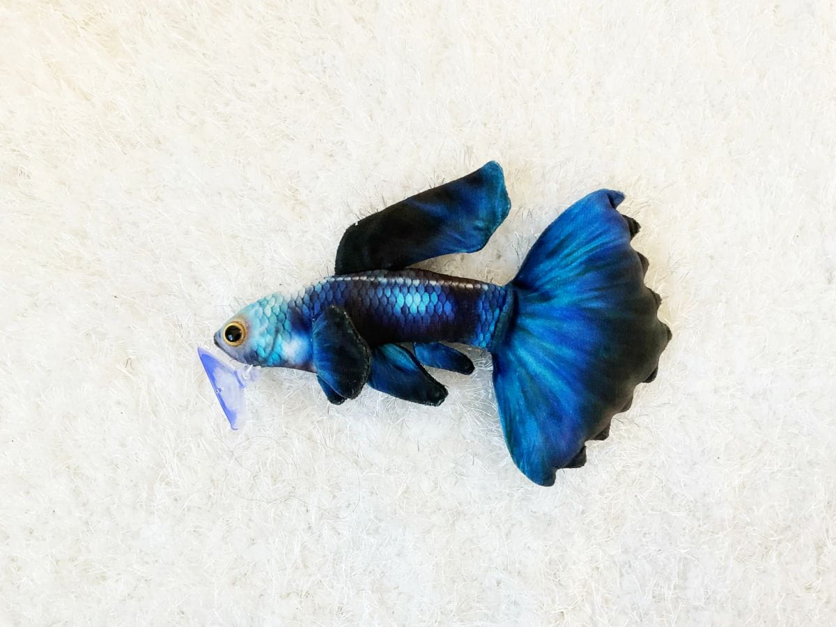 GreenPleco Electric Guppy Plush Stuffed Animal – Aquarium Fish Toy (9") Super Cichlids