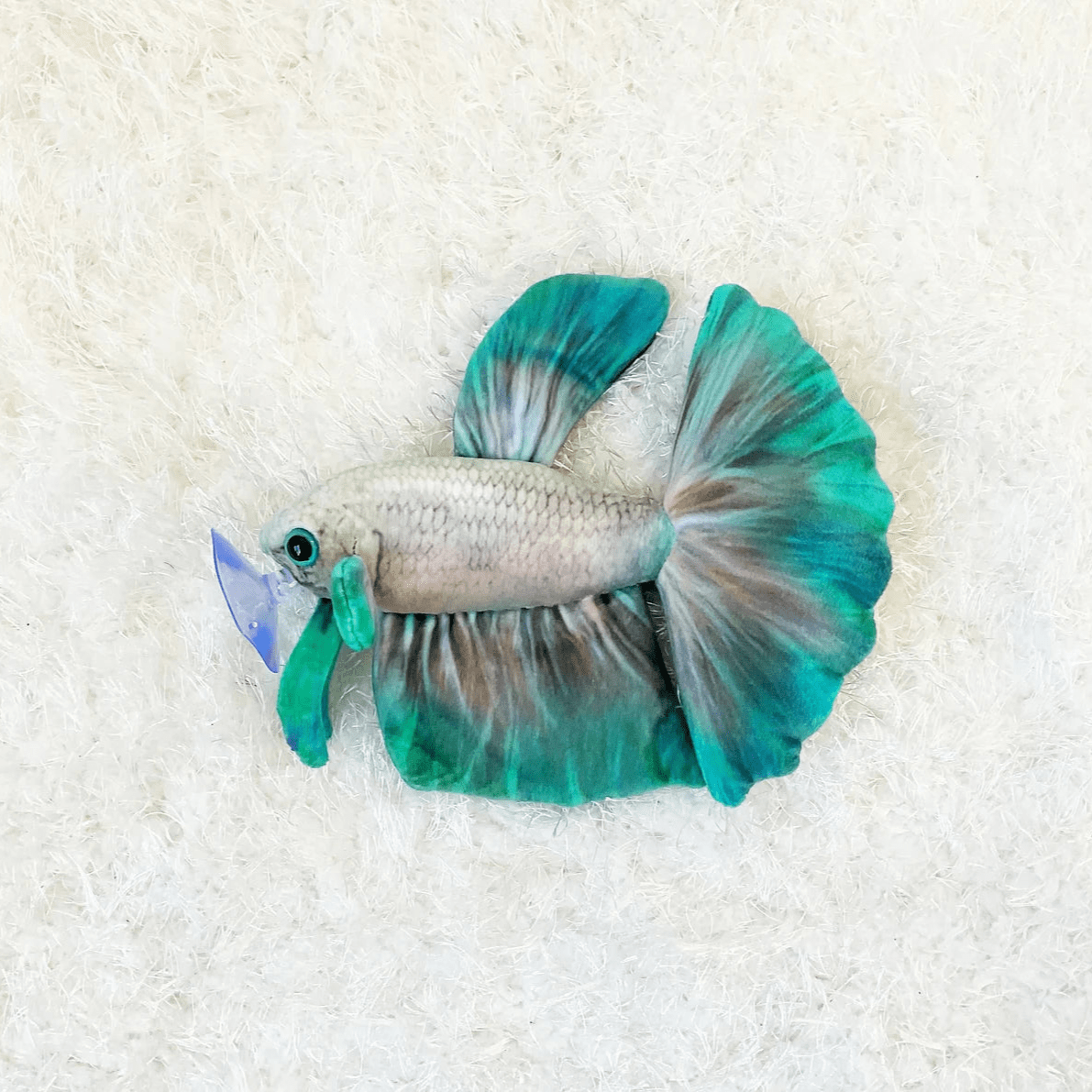 GreenPleco Jade Mist Betta Plushie Fish Super Cichlids