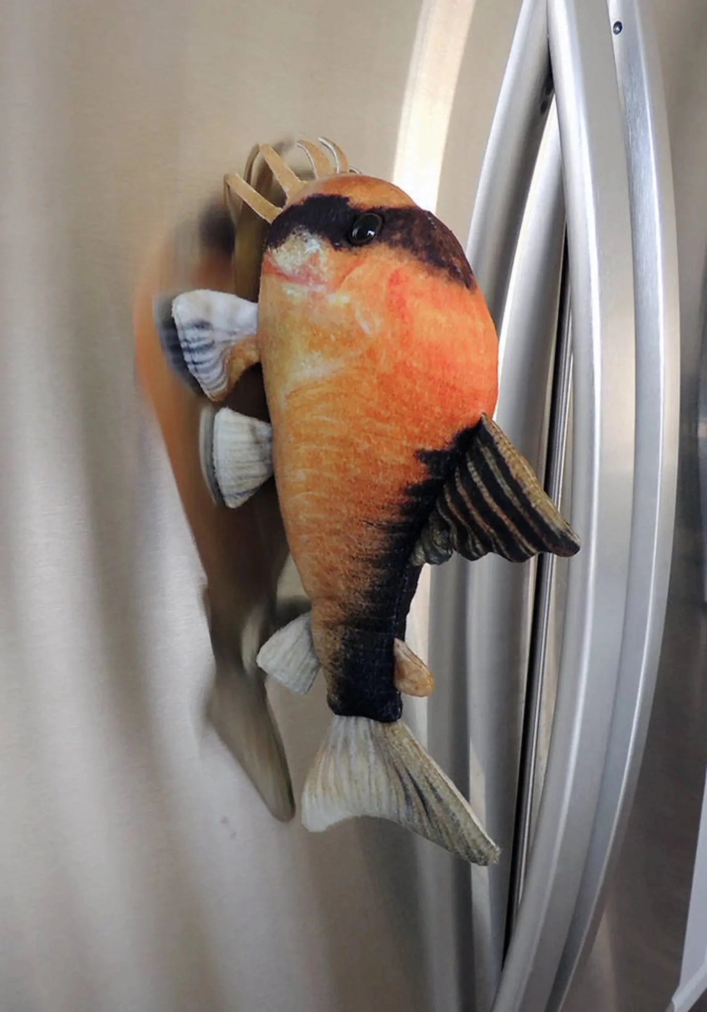 GreenPleco Metae "Bandit" Corydoras Plushie Fish Super Cichlids