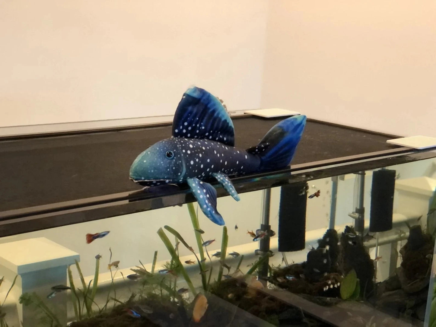 GreenPleco Phantom Pleco Plushie Fish Super Cichlids