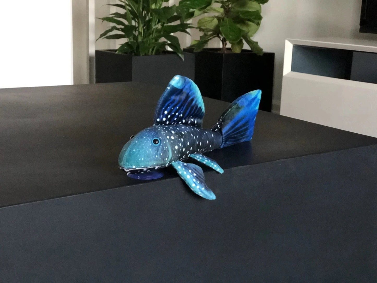 GreenPleco Phantom Pleco Plushie Fish Super Cichlids