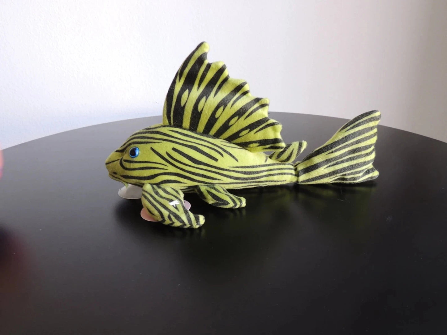 Greenpleco Royal Pleco Fish 123456789326 Super Cichlids