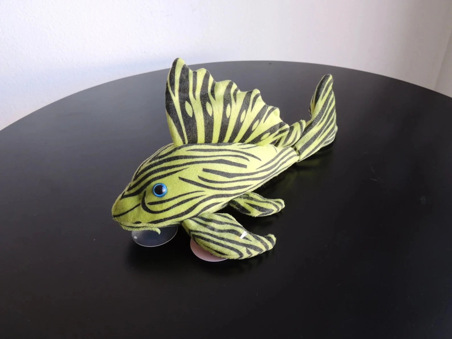Greenpleco Royal Pleco Fish 123456789326 Super Cichlids