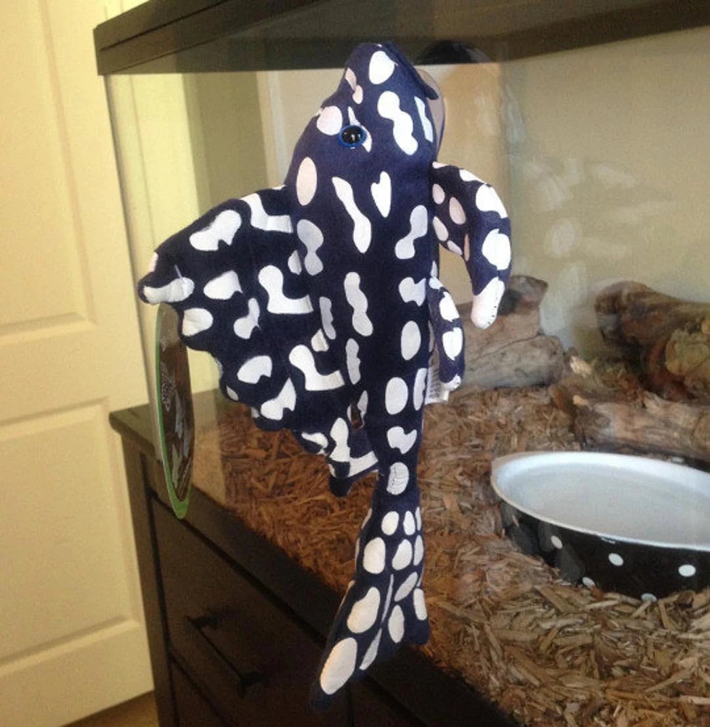 GreenPleco Sapphire Plecostomus Plushie Fish 123456789241 Super Cichlids
