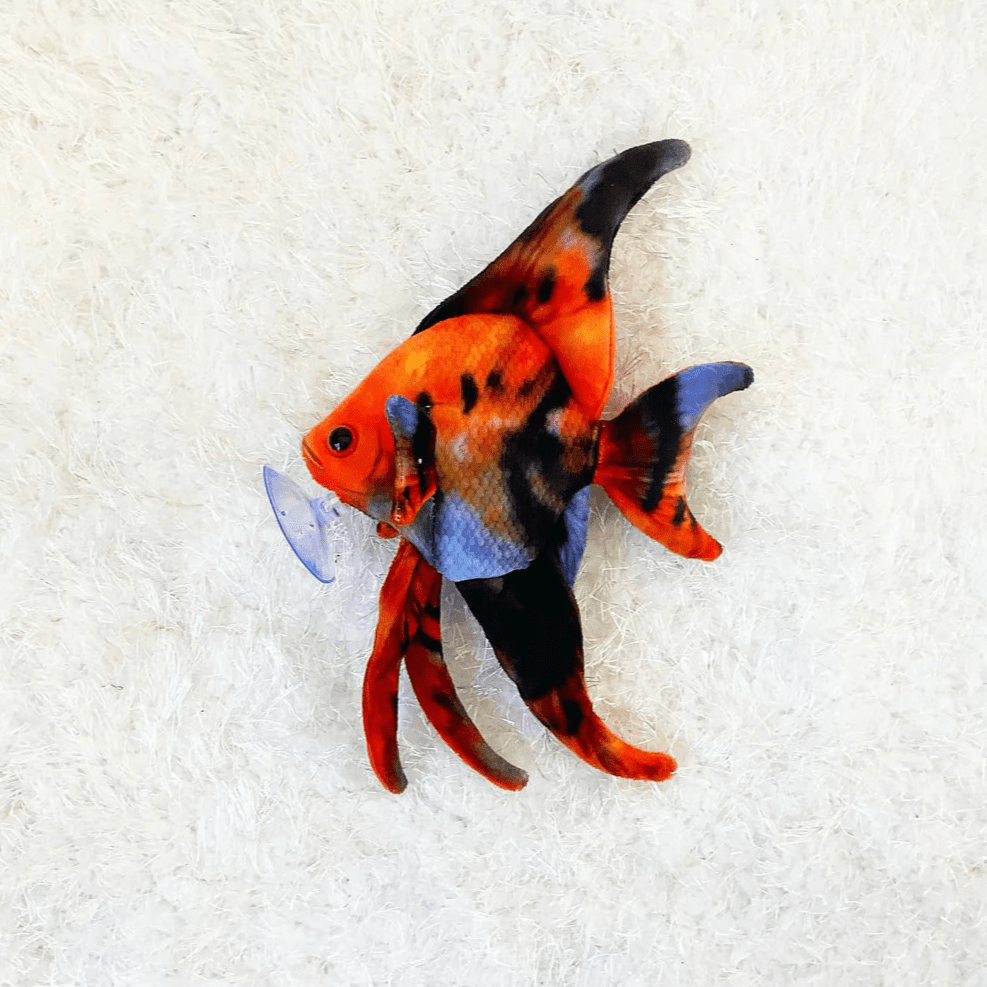 GreenPleco Sunet Angel Plushie Fish Super Cichlids