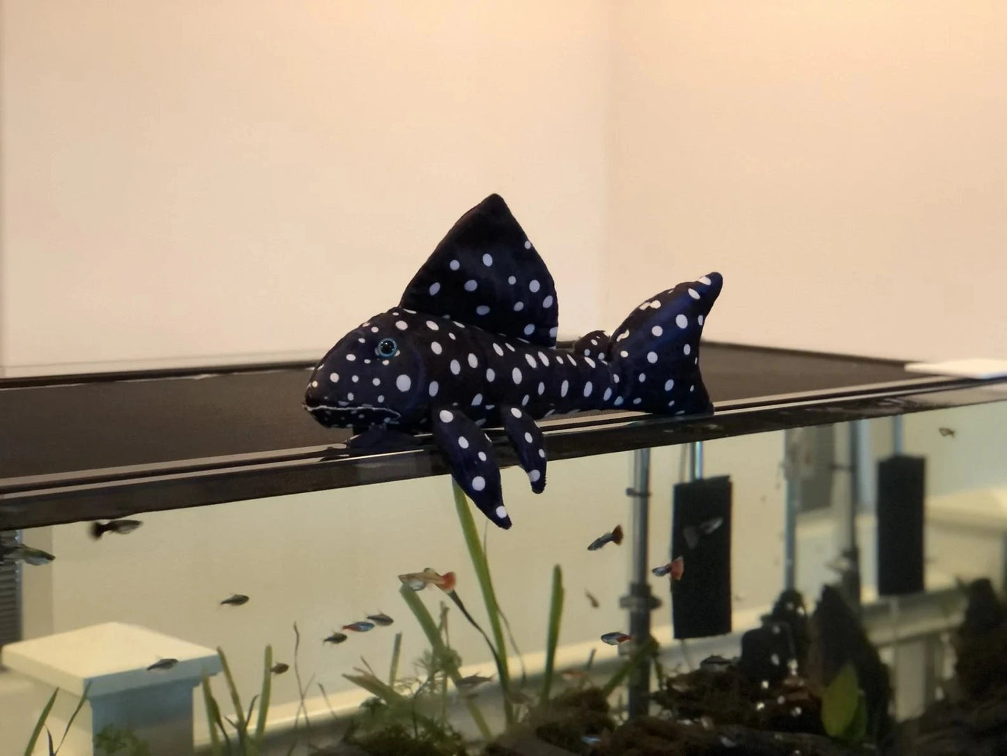 GreenPleco Vampire Plecostomus Plushie Fish Super Cichlids