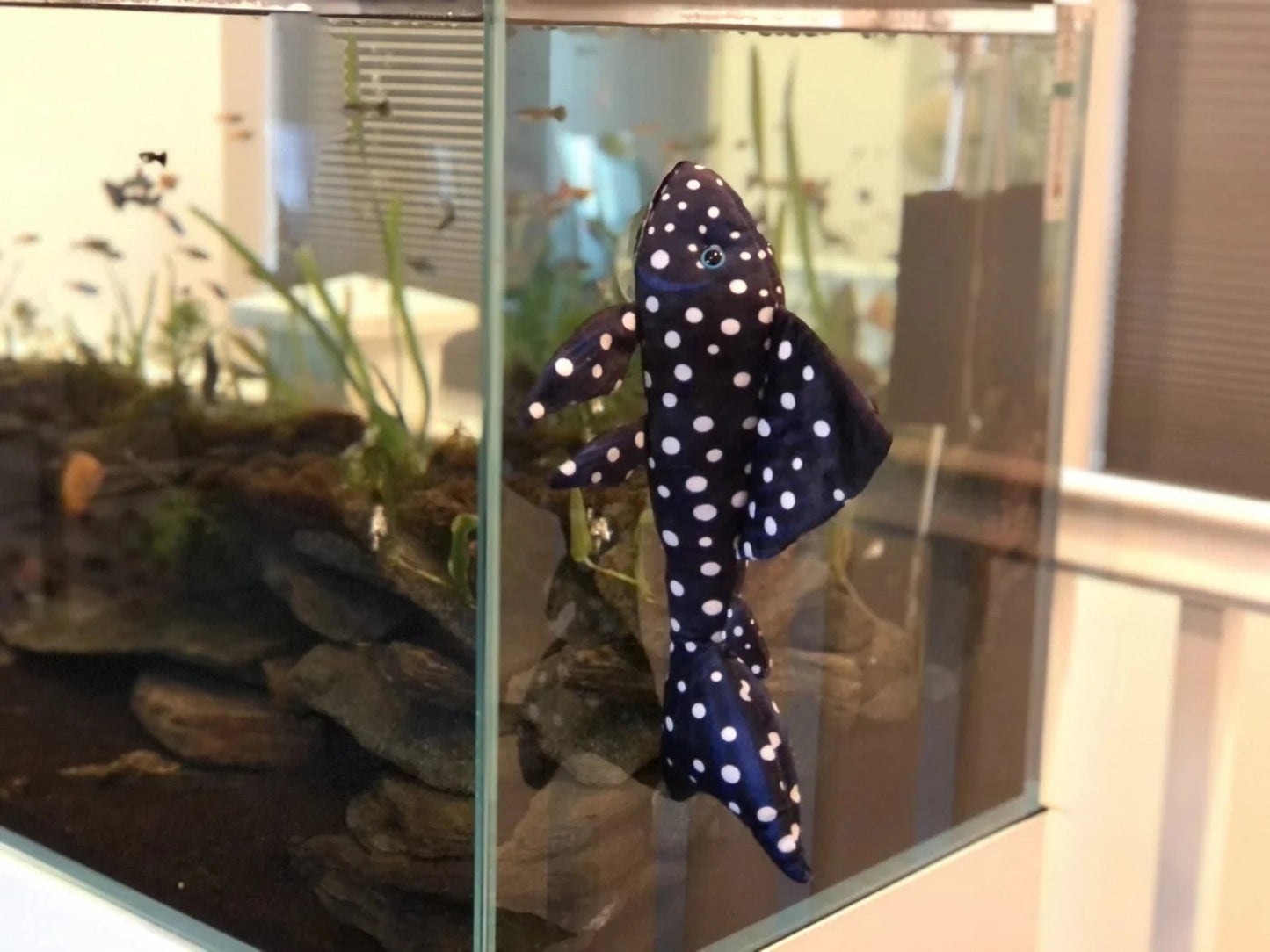 GreenPleco Vampire Plecostomus Plushie Fish Super Cichlids