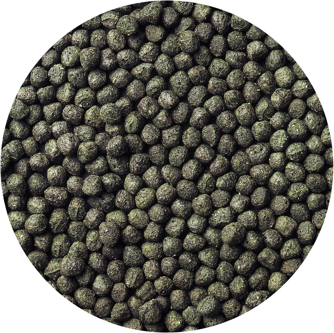 Hikari | Cichlid Excel (Floating) Medium / 8.8oz (250g) 042055143288 Super Cichlids