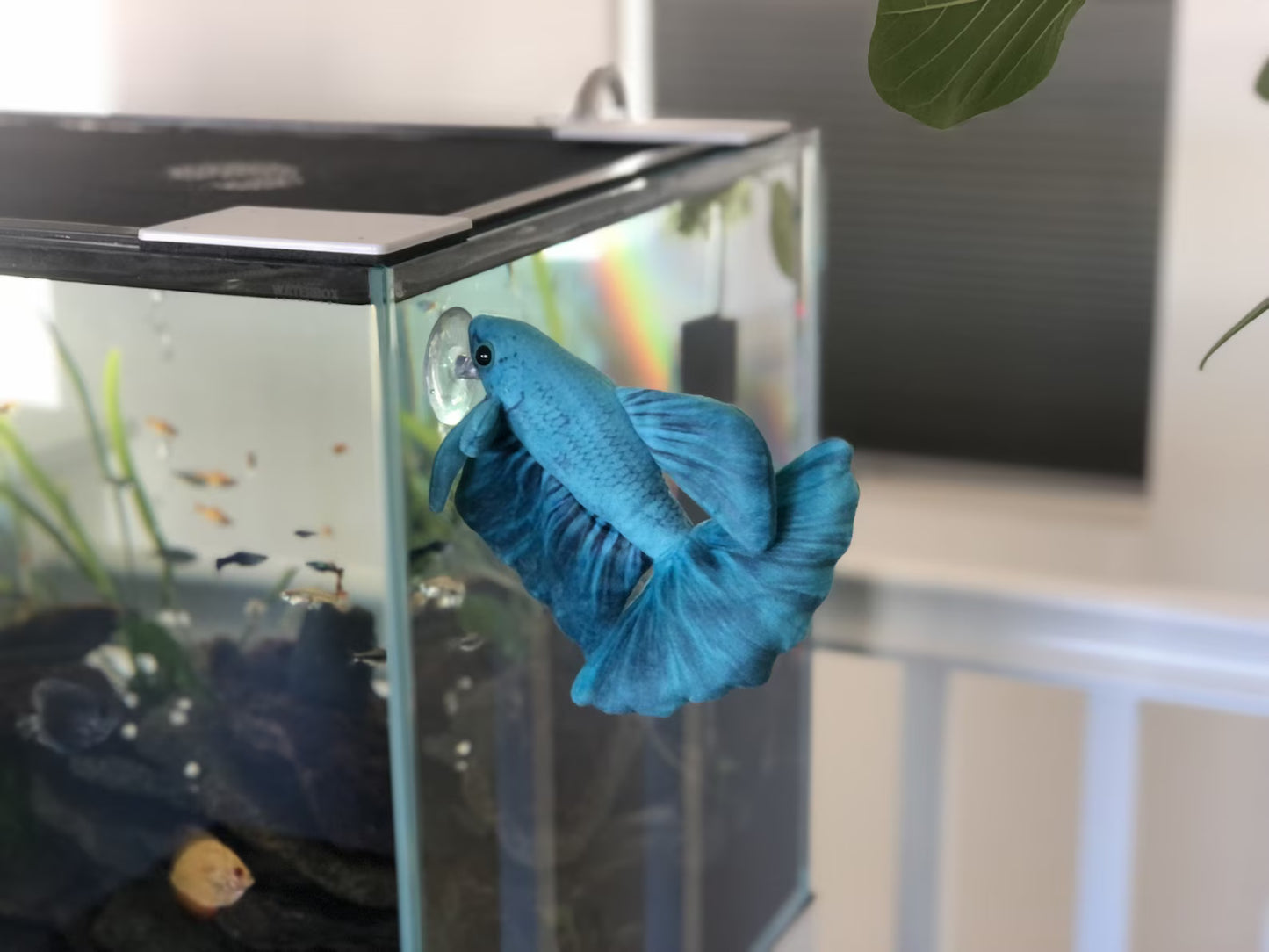 GreenPleco Aqua Betta Plushie Fish