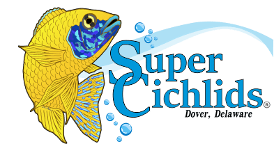 Super Cichlids