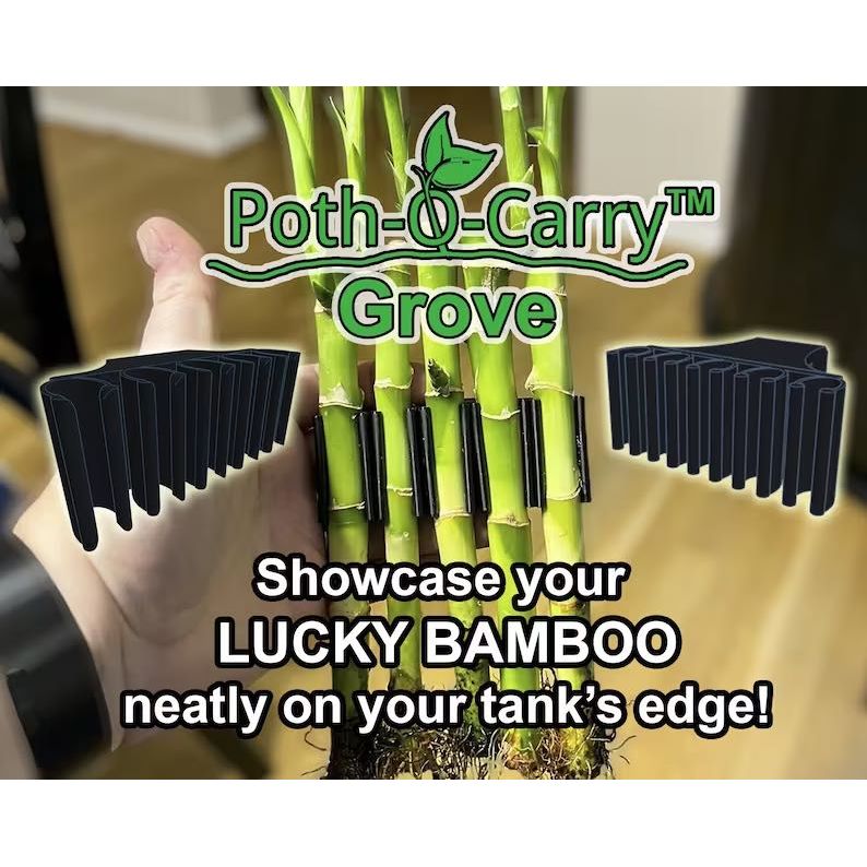Poth-O-Carry® Grove Super Cichlids