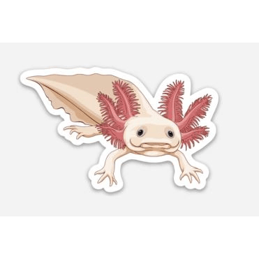 Stickers | 3" Axoltotl Axoltotl 2 Super Cichlids