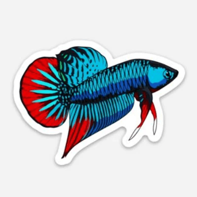 Stickers | 3" Betta's Betta 3 Super Cichlids
