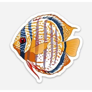 Stickers | 3" Discus Discus 3 Super Cichlids