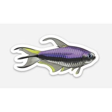 Stickers | 3" Emperor Tetra Emperor Tetra Super Cichlids