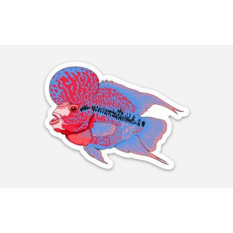 Stickers | 3" Flowerhorn Flowerhorn Super Cichlids
