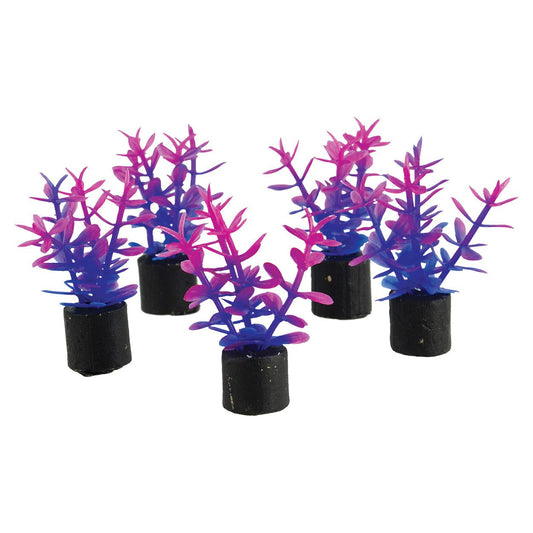 Underwater TreasuresMini Plant - Violet - 1.5" - 5 pk 628742014408 Super Cichlids