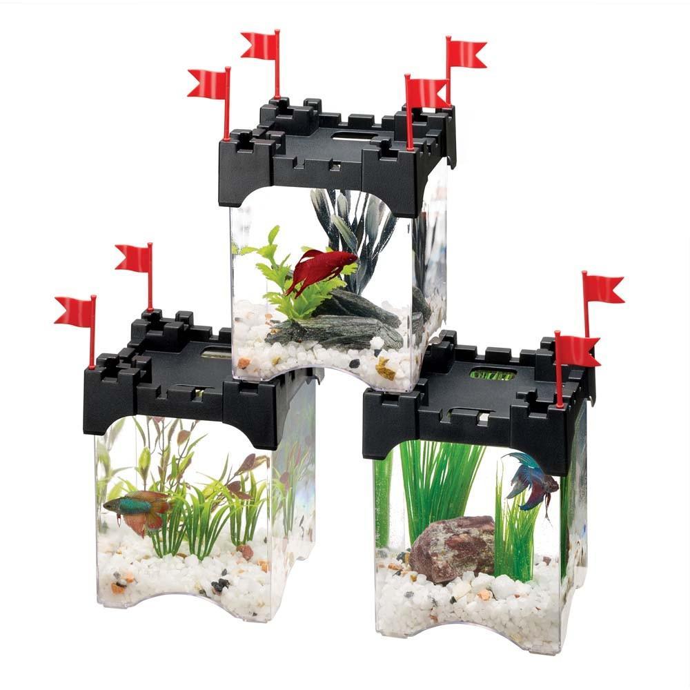 Aqueon | Betta Castle Aquarium Kit Black .5gal 015905012232 Super Cichlids