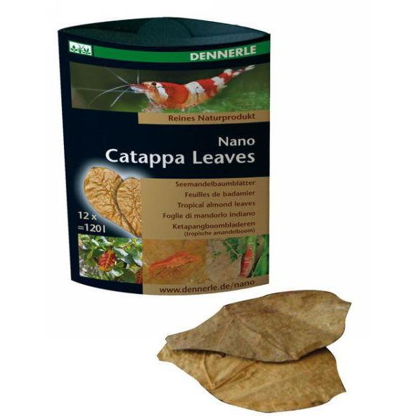 Dennerle | Catappa Nano Leaves 4001615059168 Super Cichlids