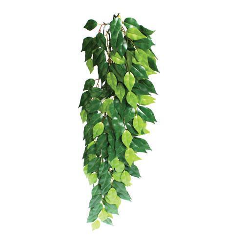 exo terra hanging plants Exo Terra