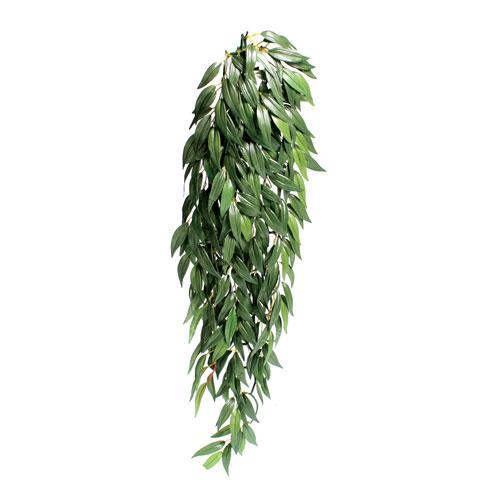 exo terra anthurium bush Exo Terra