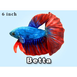 Greenpleco 6" Betta Plushie Fish