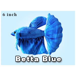 Greenpleco (Blue Betta) Super Cichlids