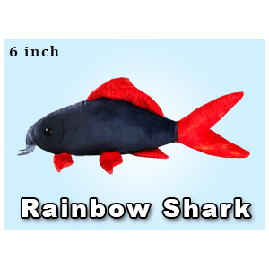 Greenpleco (Rainbow shark) Super Cichlids