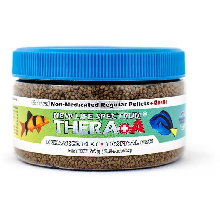 dihexa nootropicssourceshelf life 10 MG NewHope Wellness Advisors The Best Nootropics For Brain