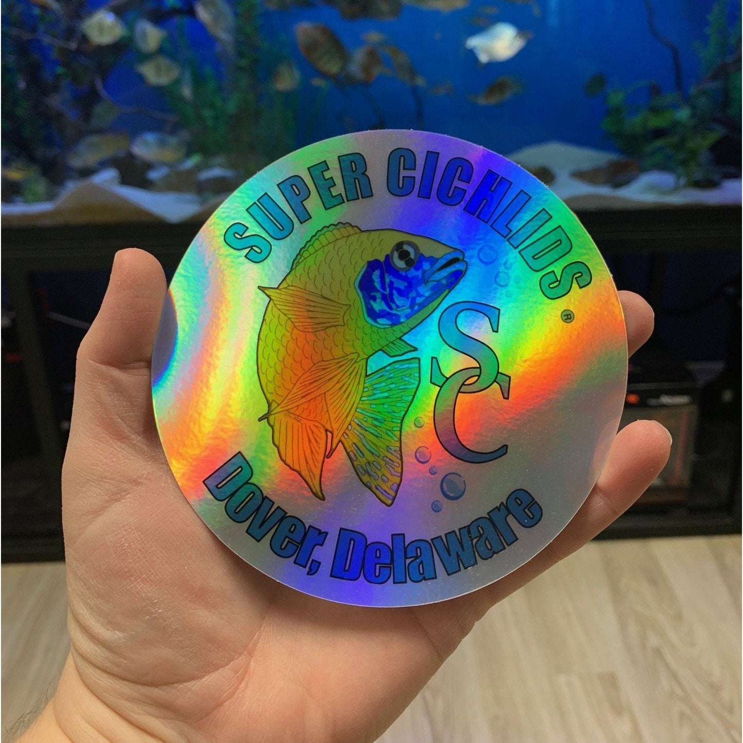 Super Cichlids Holographic Sticker  (5" x 5")