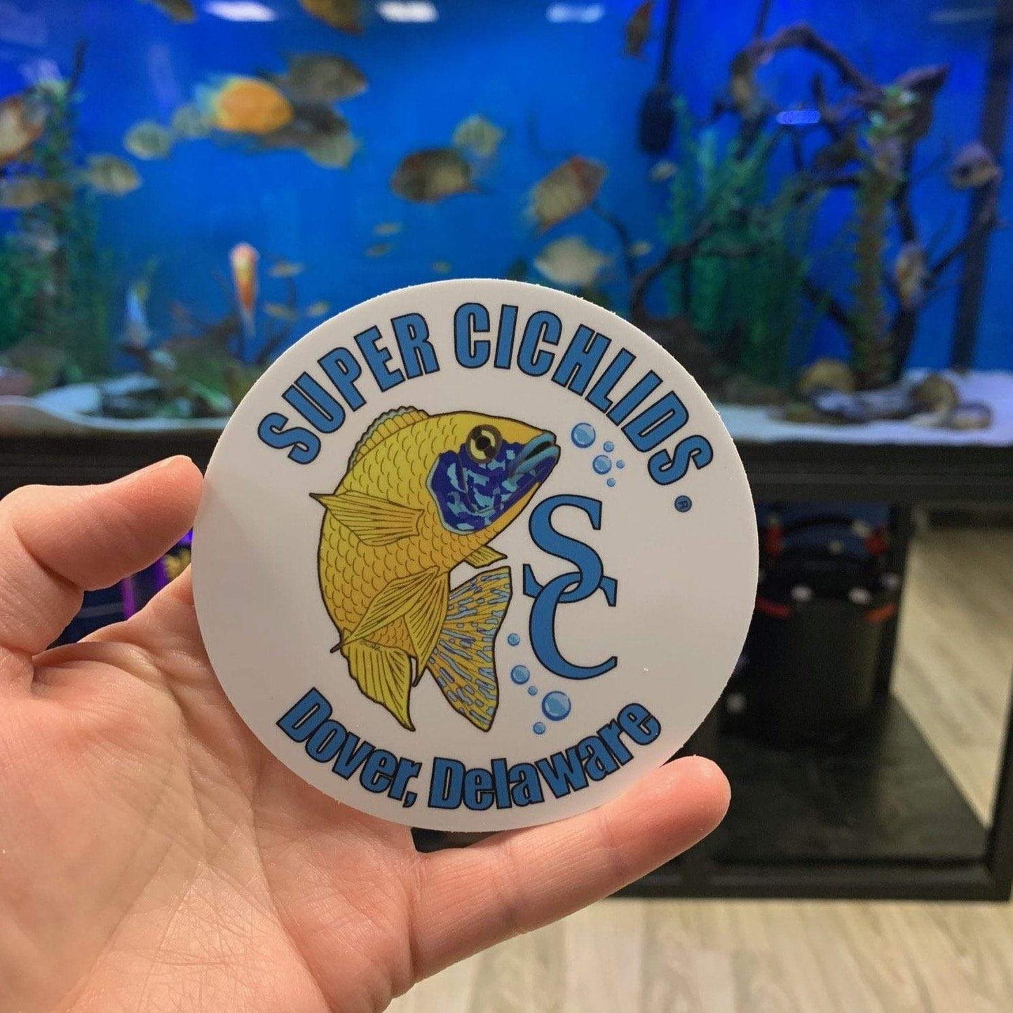 Super Cichlids Sticker (4" x 4") Super Cichlids