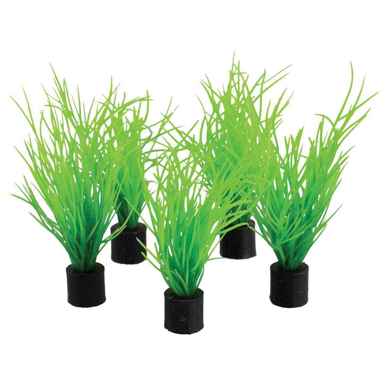 Underwater Treasures | Mini Plant - Bog Grass - 3" - 5 pk 628742014415 Super Cichlids