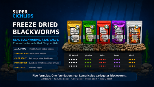Super Cichlids Freeze Dried Blackworms 25g lineup featuring All Natural, Spirulina Boost, Color Boost, Power Boost, and Vita-C Boost fish food formulas.