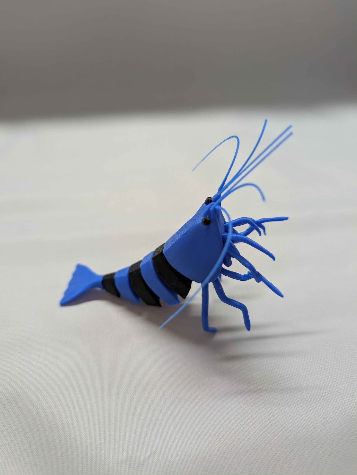 Articulated Caridina Shrimp Model - Scales of Valhalla Super Cichlids