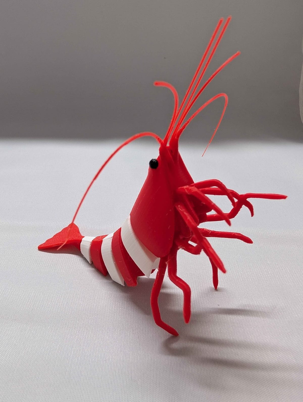 Articulated Caridina Shrimp Model - Scales of Valhalla Super Cichlids