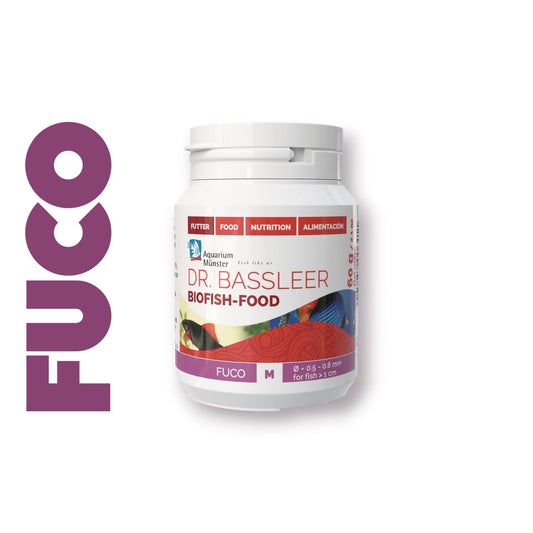 Dr. Bassleer | Fuco Super Cichlids
