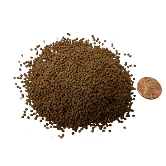 DynariX SuperRED Fish Food – 2mm Sinking Pellets – 3X Astaxanthin for Maximum Color Enhancement – High-Protein Formula 799975506661 Super Cichlids