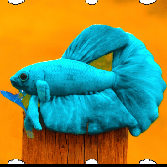GreenPleco Aqua Betta Plushie Fish Super Cichlids