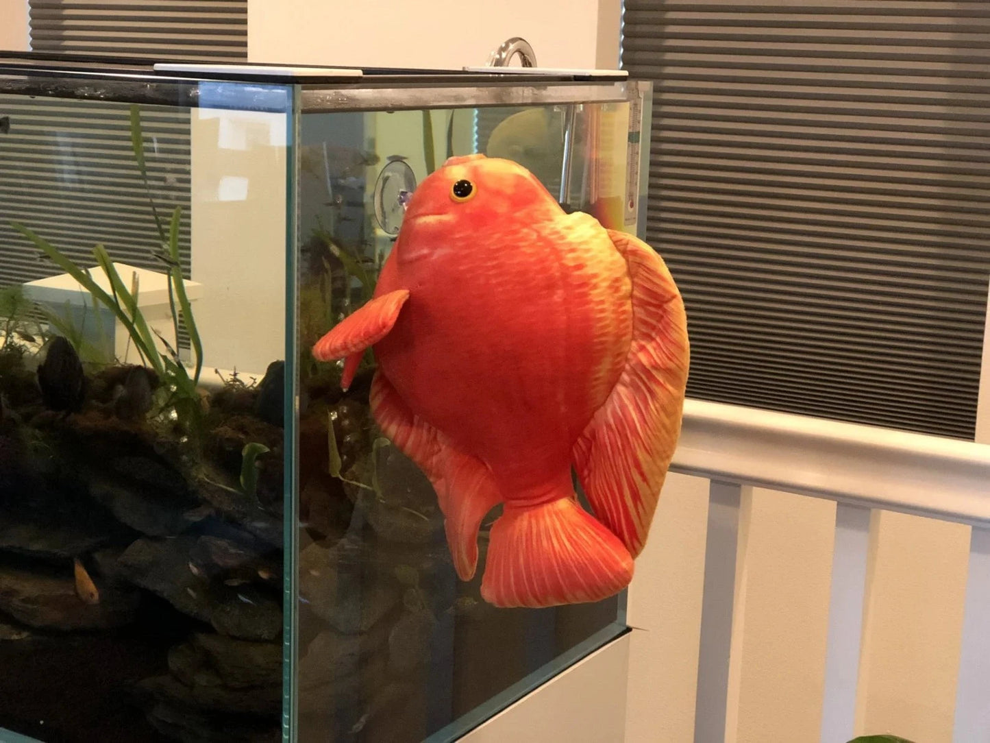 GreenPleco Blood Parrot Plushie Fish Super Cichlids