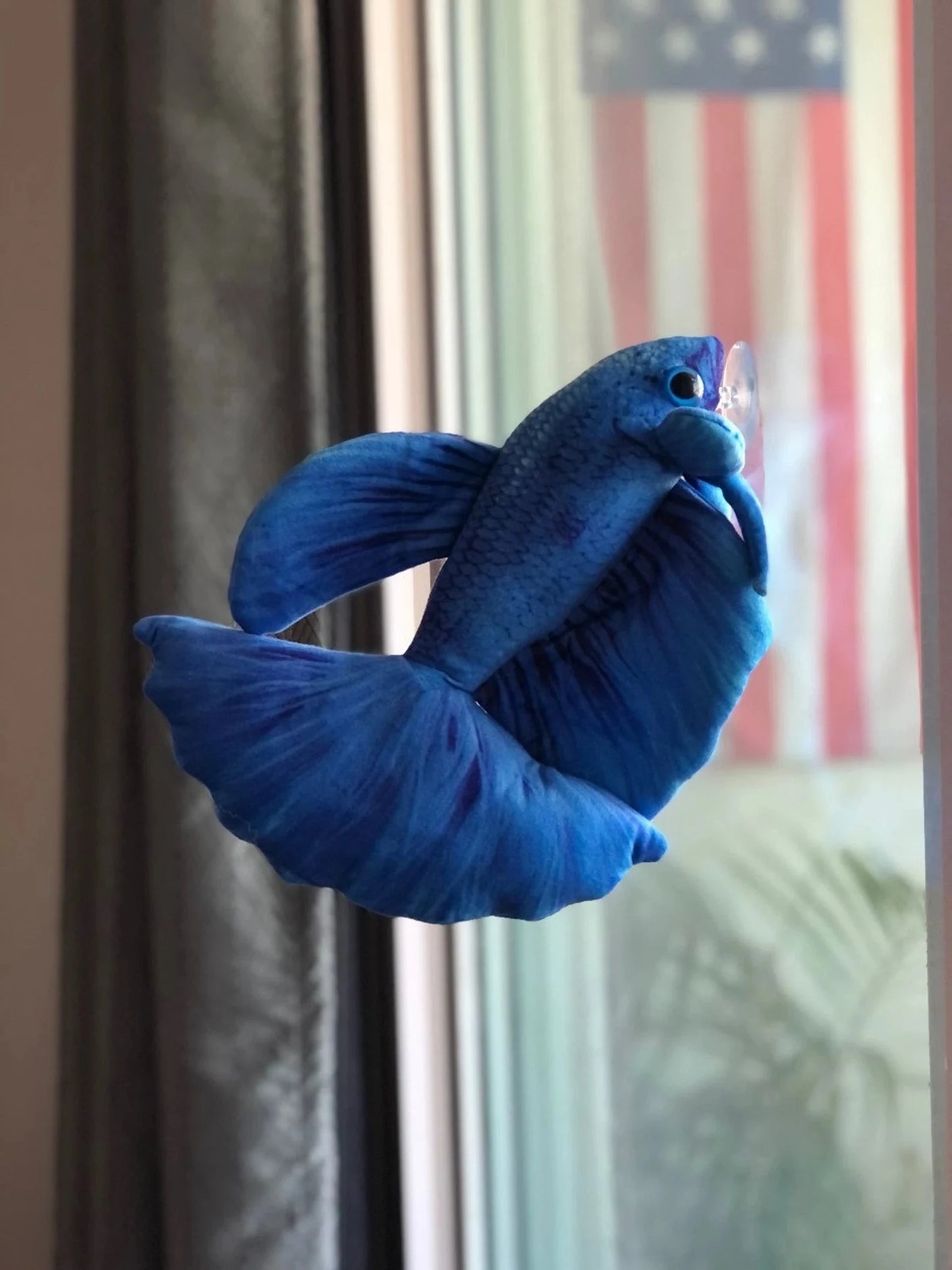 GreenPleco Blue Betta Plushie Fish Super Cichlids