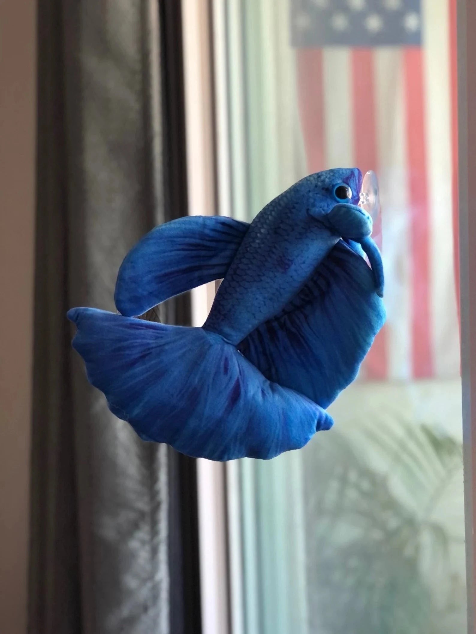 GreenPleco Blue Betta Plushie Fish Super Cichlids