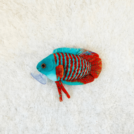 GreenPleco Dwarf Gourami Plushie Fish Super Cichlids