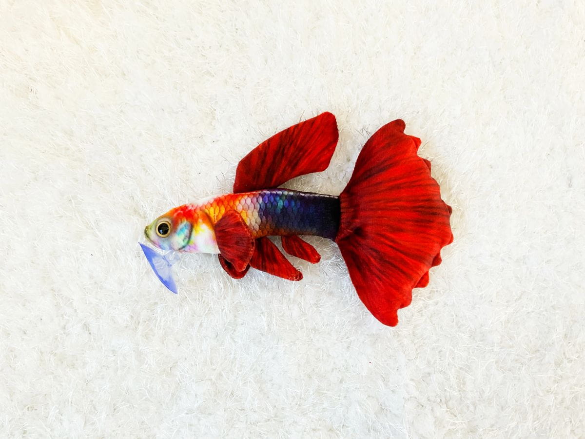 GreenPleco Inferno Guppy Plush Stuffed Animal – Aquarium Fish Toy (9") Super Cichlids