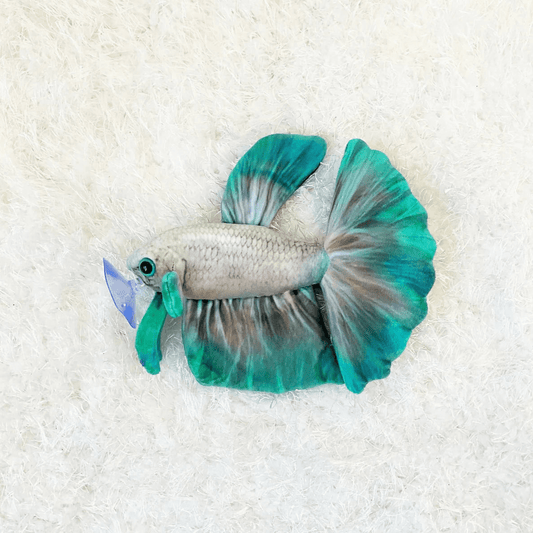 GreenPleco Jade Mist Betta Plushie Fish Super Cichlids