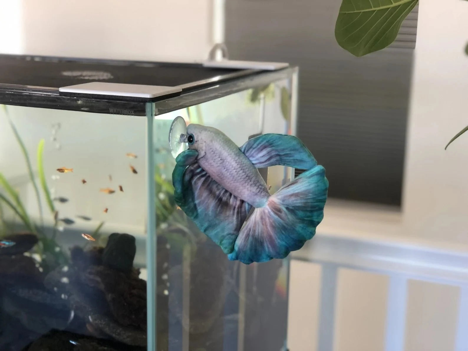 GreenPleco Jade Mist Betta Plushie Fish Super Cichlids